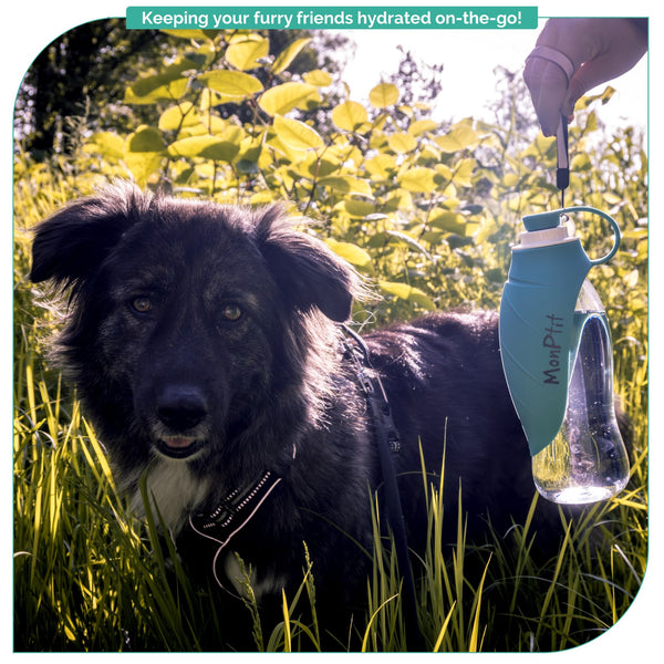 MonPtit Leak-Proof Dog Water Bottle